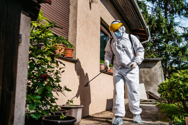Best Rat Extermination Near Me  in Woodbury Heights, NJ