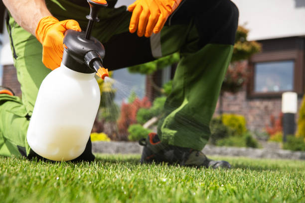  Woodbury Heights, NJ Pest Control Pros