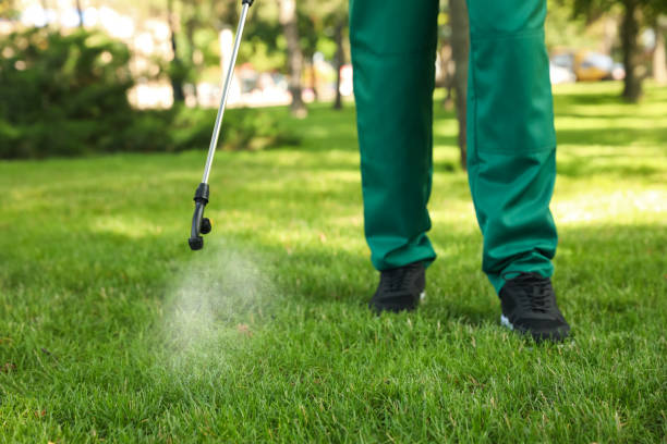 Professional Pest Control in Woodbury Heights, NJ