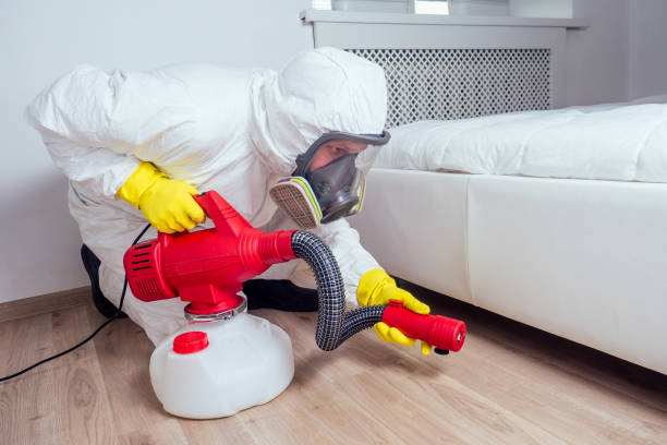 Best Best Pest Control Companies  in Woodbury Heights, NJ